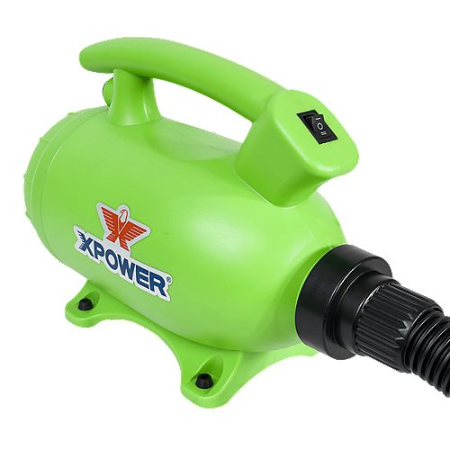 Home Pet Dryer