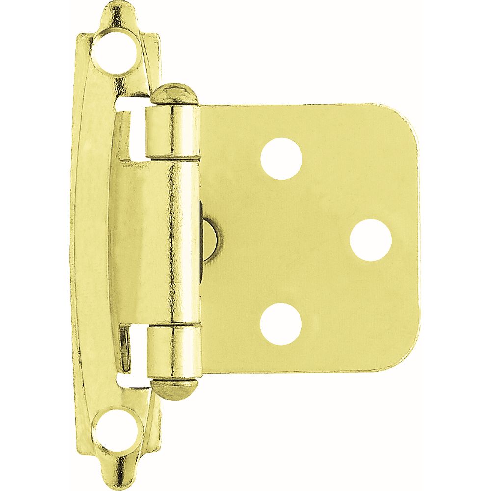 Liberty Polished Brass SelfClosing Overlay Hinge (1Pair) The Home Depot Canada