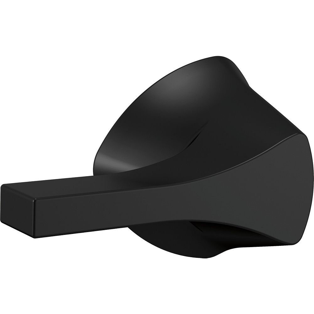 black toilet knob