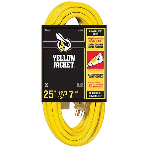 25 ft. (7.6 m) 12/3 SJTW Outdoor Extension Cord with Lighted End