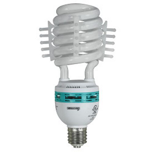 CFL Replacement  5000 Lumen Bulb