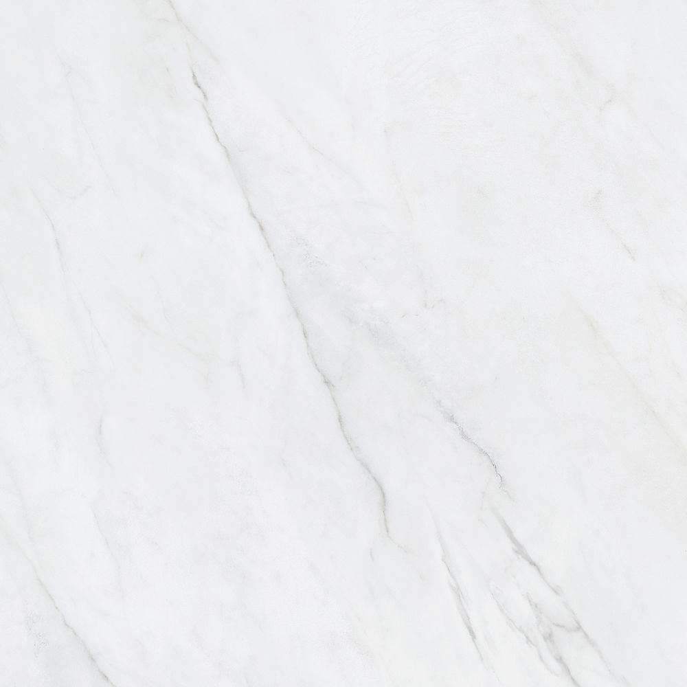 Enigma Vera Carrara 24 Inch X 24 Inch Polished Rectified Porcelain Tile The Home Depot Canada