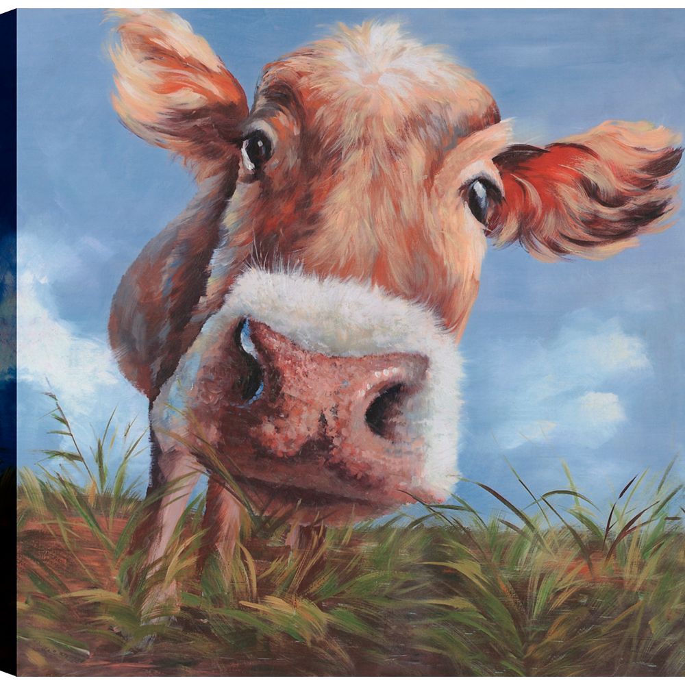 ArtMaison Canada Cow Look, Animal Art, Canvas Print Wall Art 36X36 ...