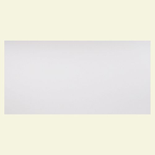 2 ft. x 4 ft. Smooth Pro White Ceiling Panel Carton of 10