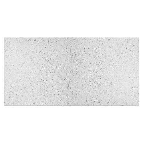 2 ft. x 4 ft. Printed Pro Ceiling Panel Carton of 10