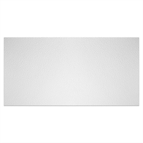 2 ft. x 4 ft. Stucco Pro White Ceiling Panel Carton of 10