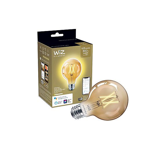 40W Equivalent G25 Warm Glow (2000K) Dimmable Filament LED Vintage Smart  Light Bulb