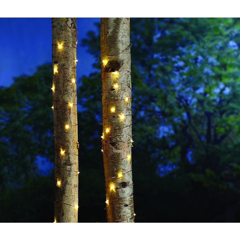 Hampton Bay 17 ft. Battery Powered 25 LED Bulb Silver Wire Indoor/Outdoor String Light | The ...