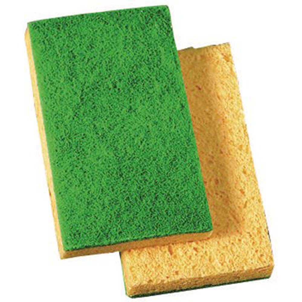 Renown Medium Scrub Sponge, 5.9 In. X 3.3 In. X 0.7 In. The Home