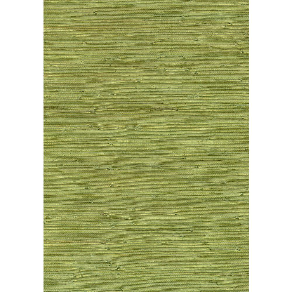James Jirou Green Grasscloth Wallpaper The Home Depot Canada