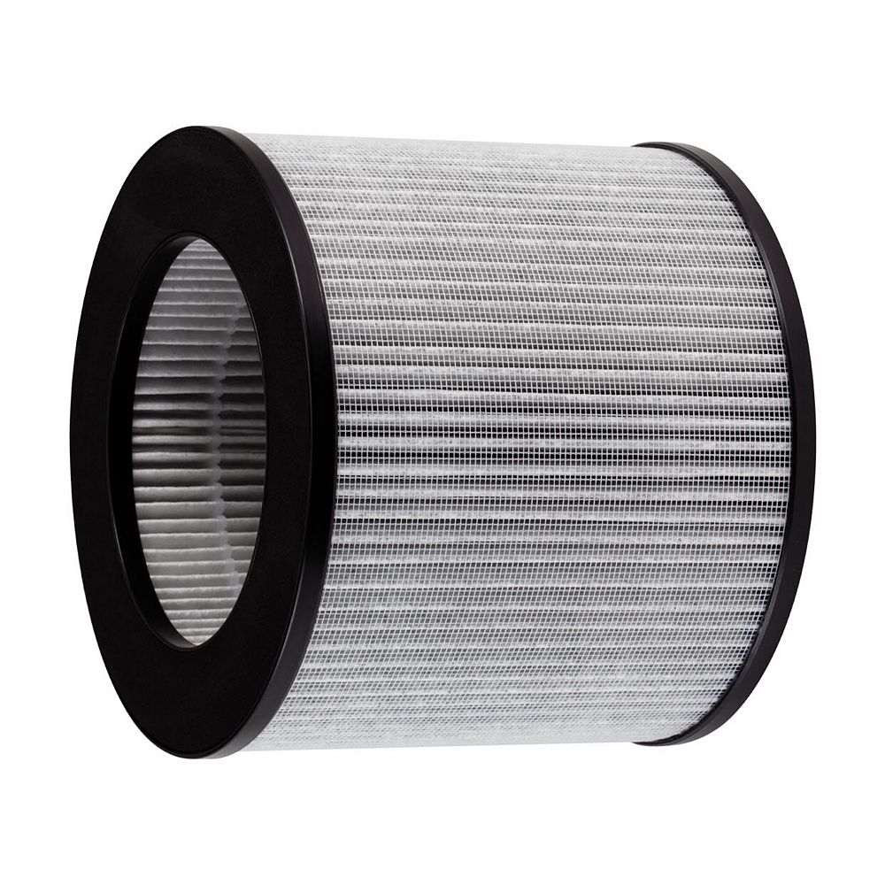 Bissell Replacement Filter For Myair Personal Air Purifier The Home Depot Canada