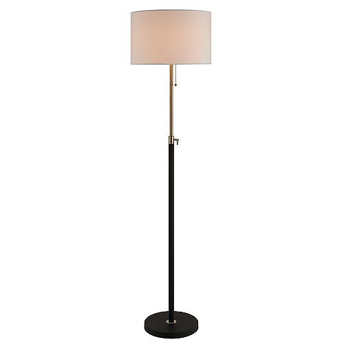 Matte Black and Antique Brass Adjustable Floor Lamp