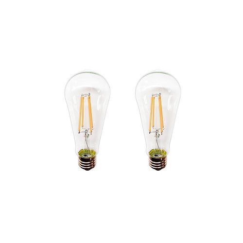 Globe Electric Ampoule DEL G30 Vintage Edison ambrée gradable avec