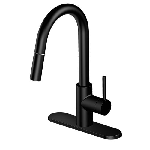 Haisley Single-Handle Pull-Down Kitchen Faucet in Matte Black