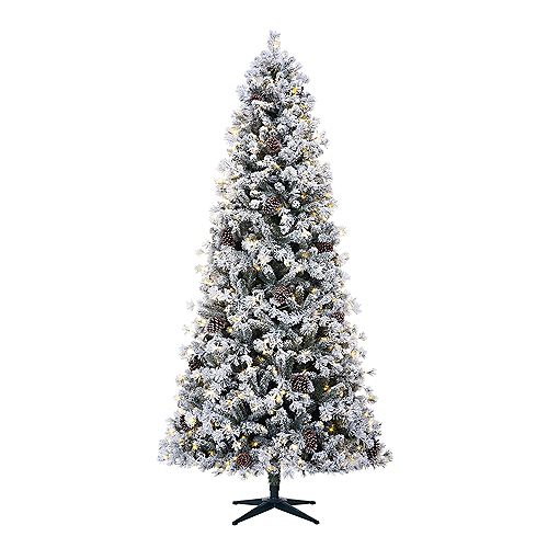 Christmas Trees Christmas The Home Depot Canada