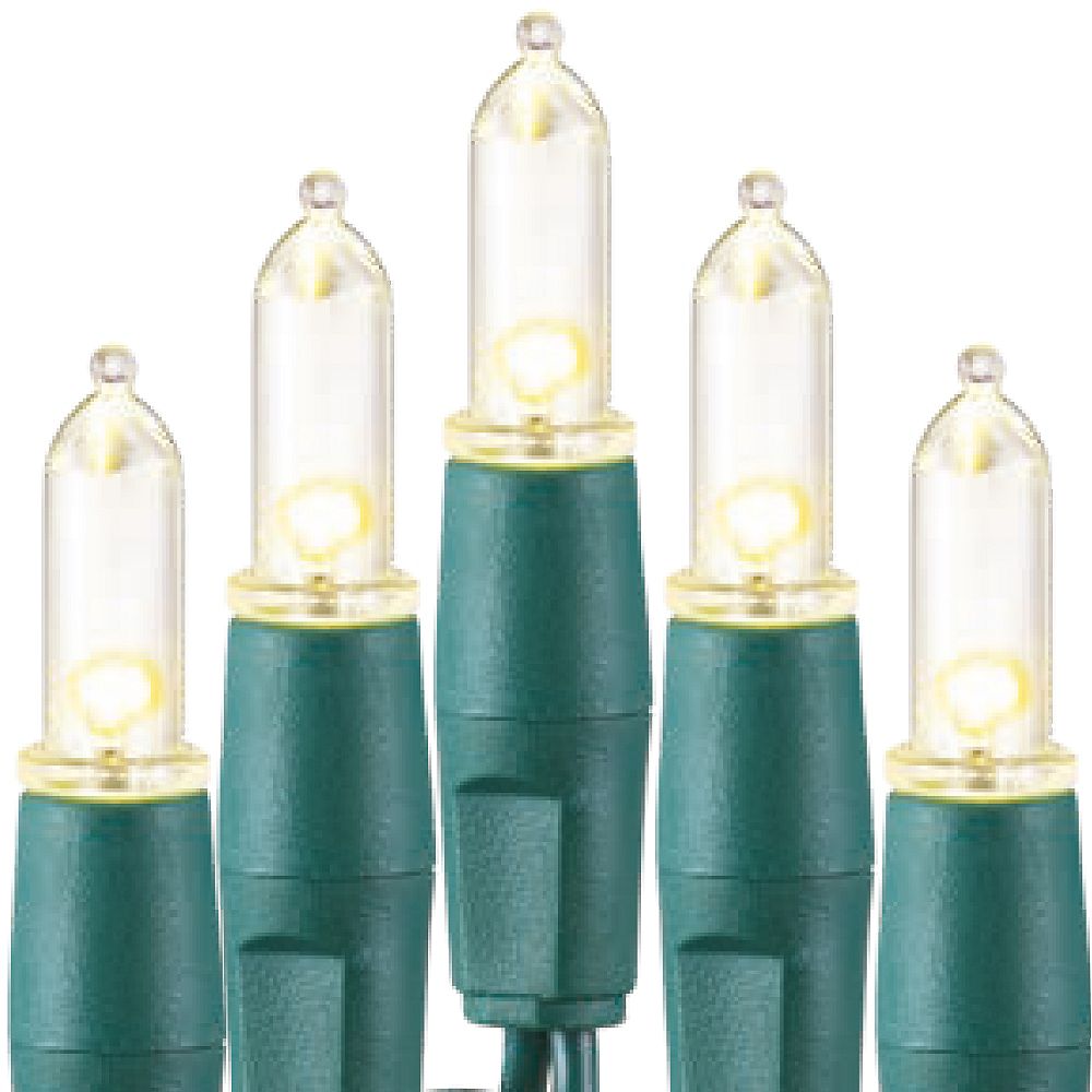 Home Accents 100Light Mini LED Warm White Colour Ultra Bright