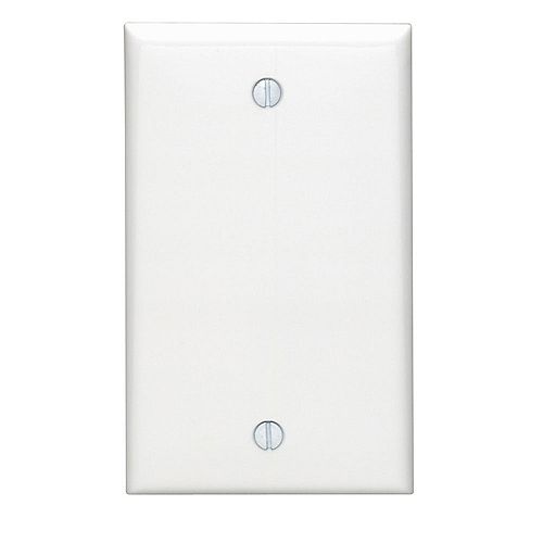 Wallplate 1-Gang No Device Blank, Standard Size, Thermoplastic Nylon, Box Mount, -White