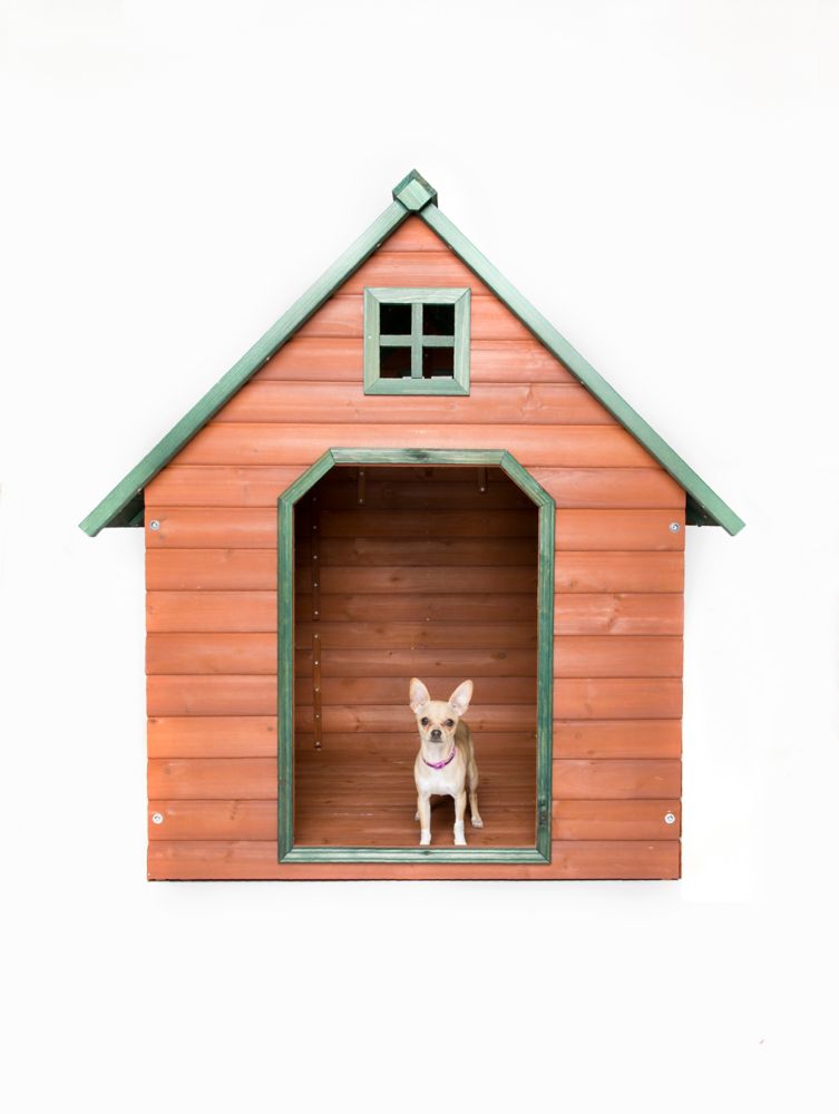 dog house in home depot
