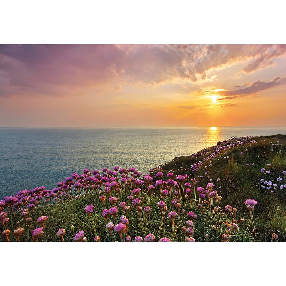 Komar Land's End Wall Mural The Home Depot Canada