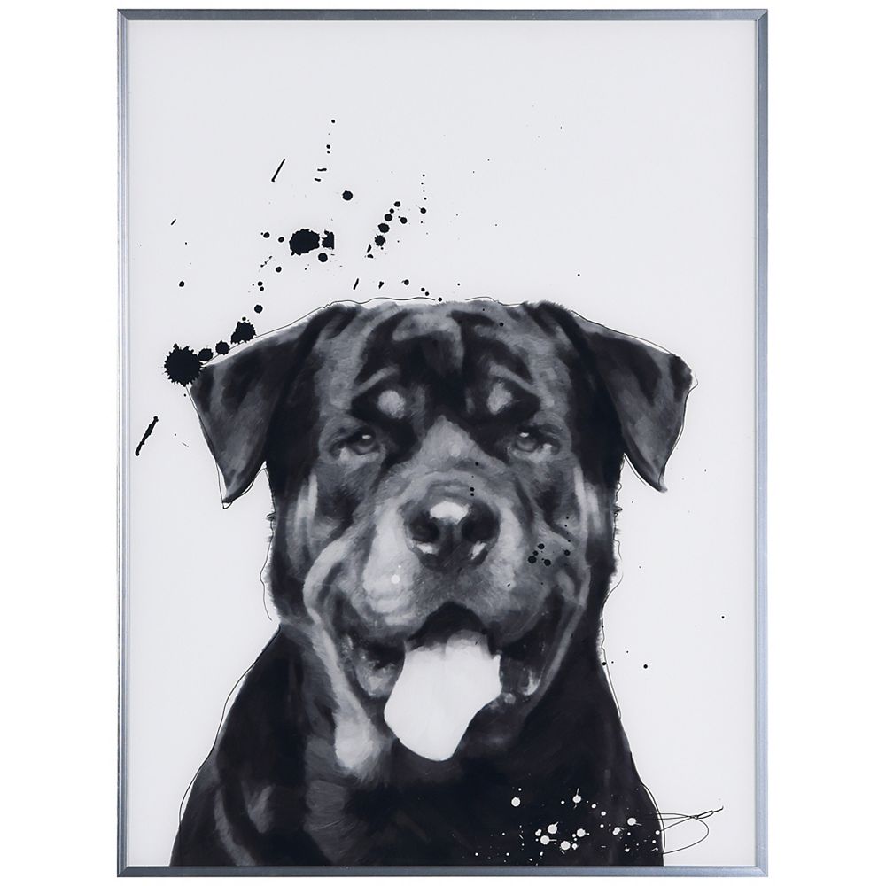 Empire Art Direct Rottweiler On Reverse Printed Art Glass And Anodized Aluminum Silver Fra The Home Depot Canada