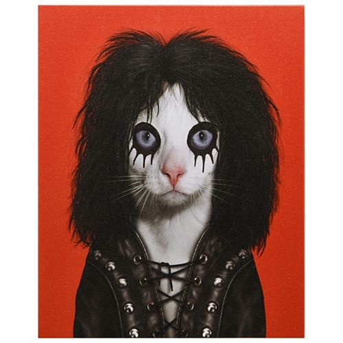 Empire Art Direct Pets Rock Shock Rock Graphic Art on Wrapped Canvas Cat Wall Art