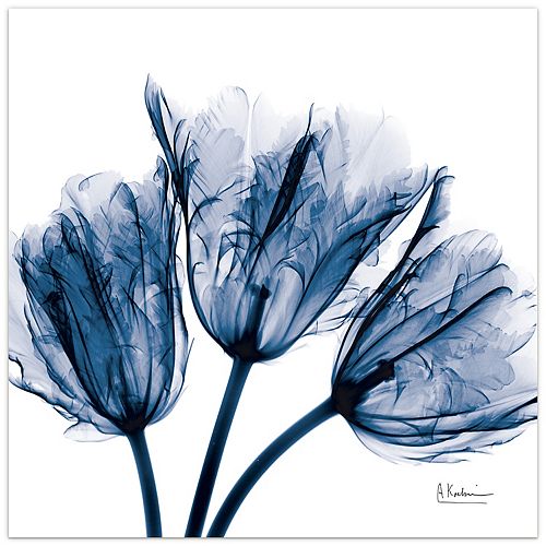 Empire Art Direct Wall The Home Depot Canada - Tempered Glass Wall Art Canada Empire Art Direct Wall The Home Depot Canada - Tempered Glass Wall Art Canada