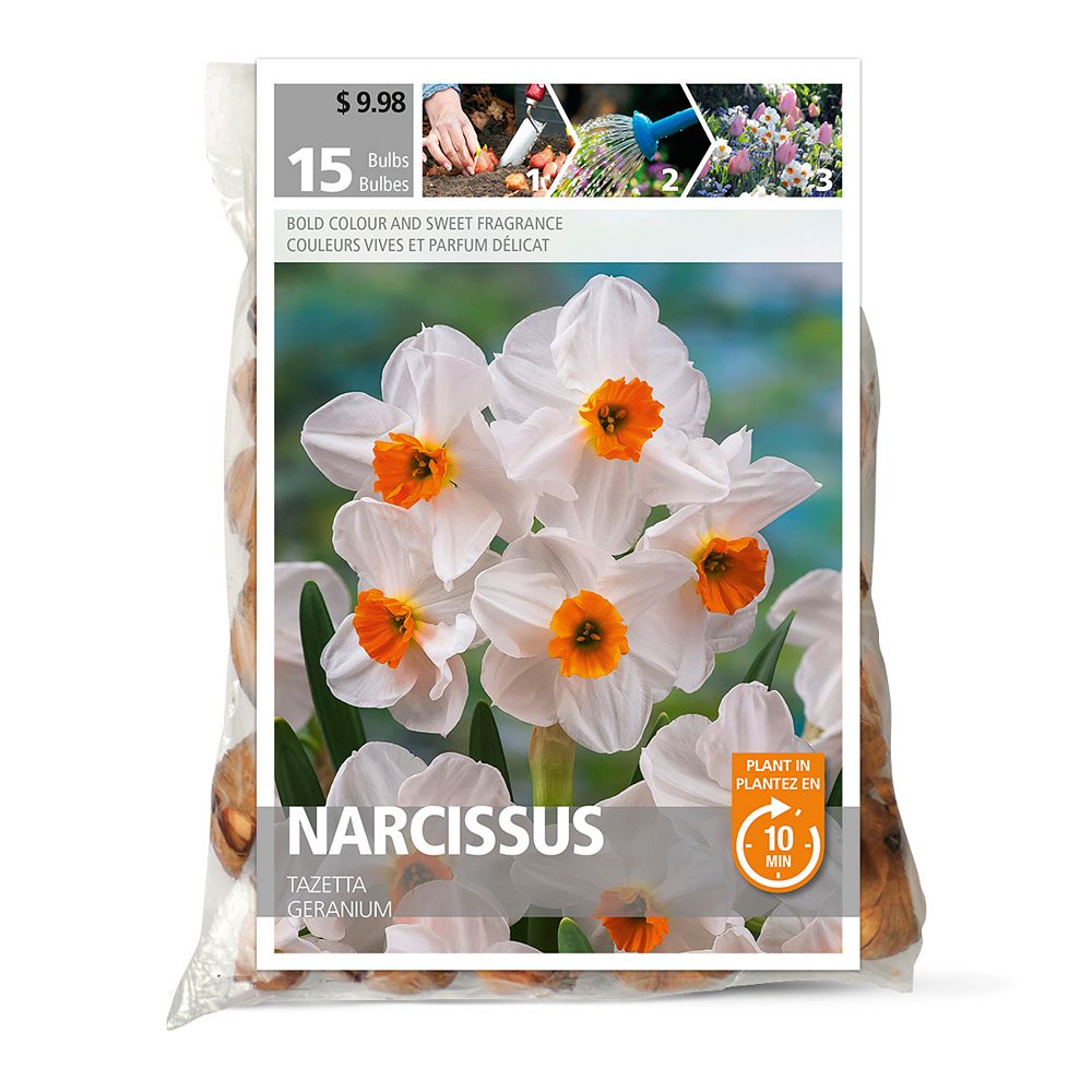 Bulbs Are Easy Narcissus Tazatta Geranium Assorted Flower Bulbs 15 Pack The Home Depot Canada