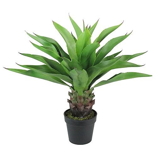 Northlight 30.5" Potted Green Artificial Agave Americana Succulent Plant