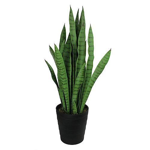 35" Two Tone Green Artificial Indoor Potted Snake Plant