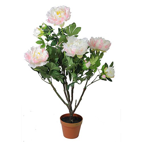 Northlight 36" Green and Brown Potted Artificial Blooming Peony Flower Plant