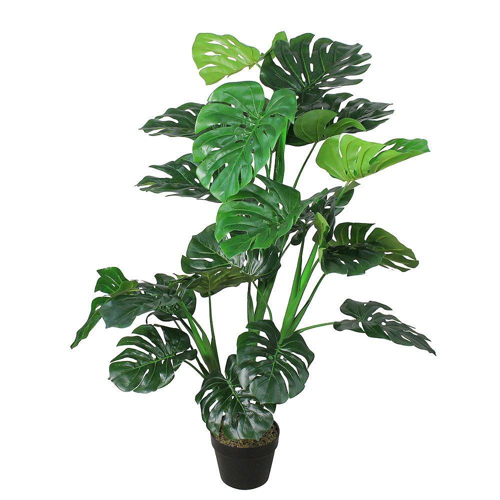 Northlight 50" Potted Green and Black Artificial Monstera Plant | The