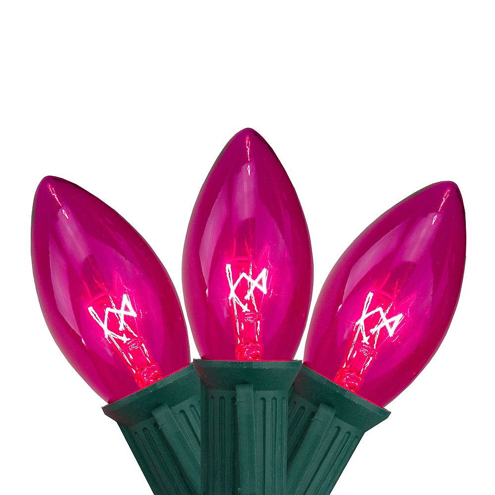 Northlight 25 Pink Transparent C9 Christmas String Lights 24 ft Green