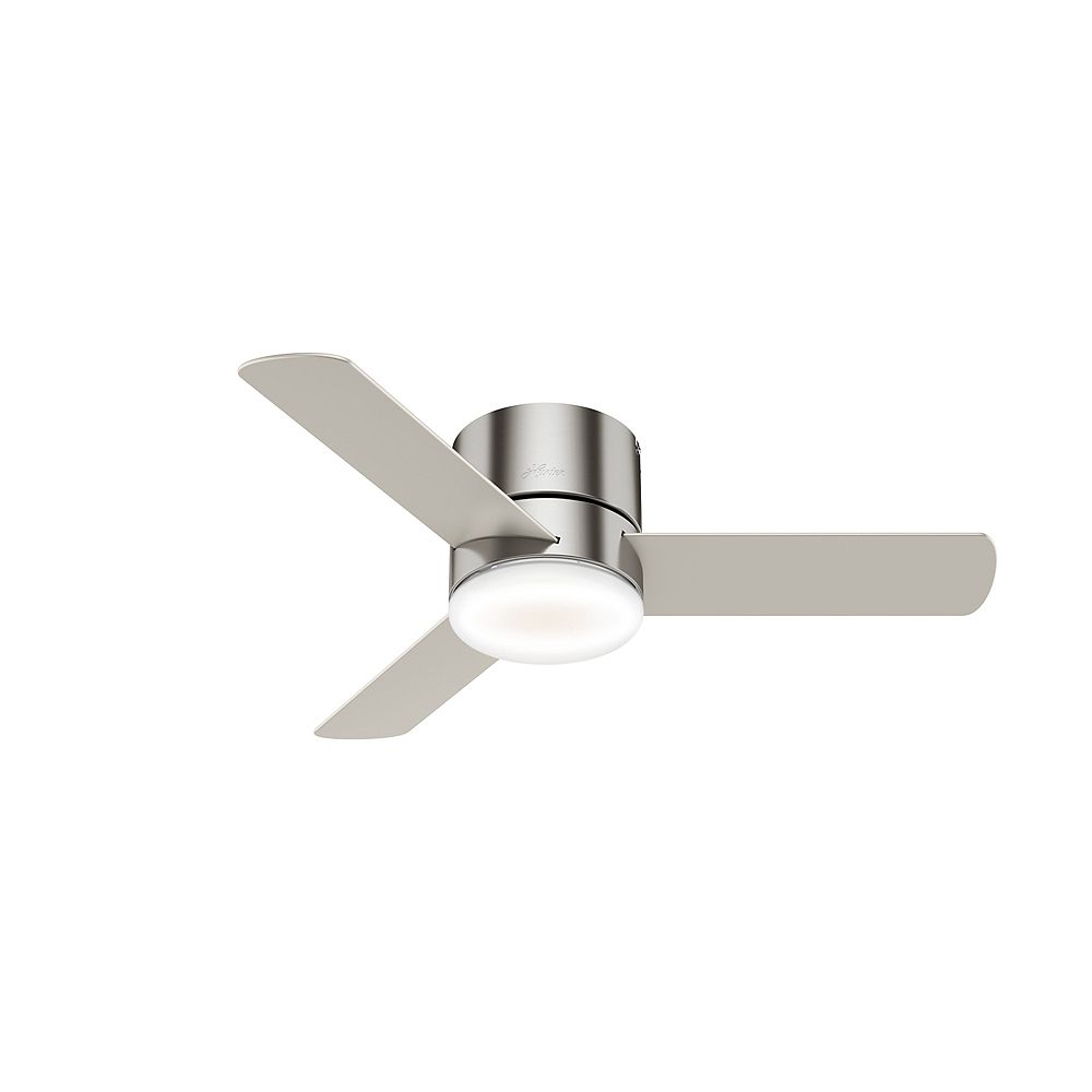 Hunter Minimus 44 Inch Led Indoor Brushed Nickel Low Profile Ceiling Fan The Home Depot Canada Hunter Minimus 44 Inch Led Indoor Brushed Nickel Low Profile Ceiling Fan The Home Depot Canada