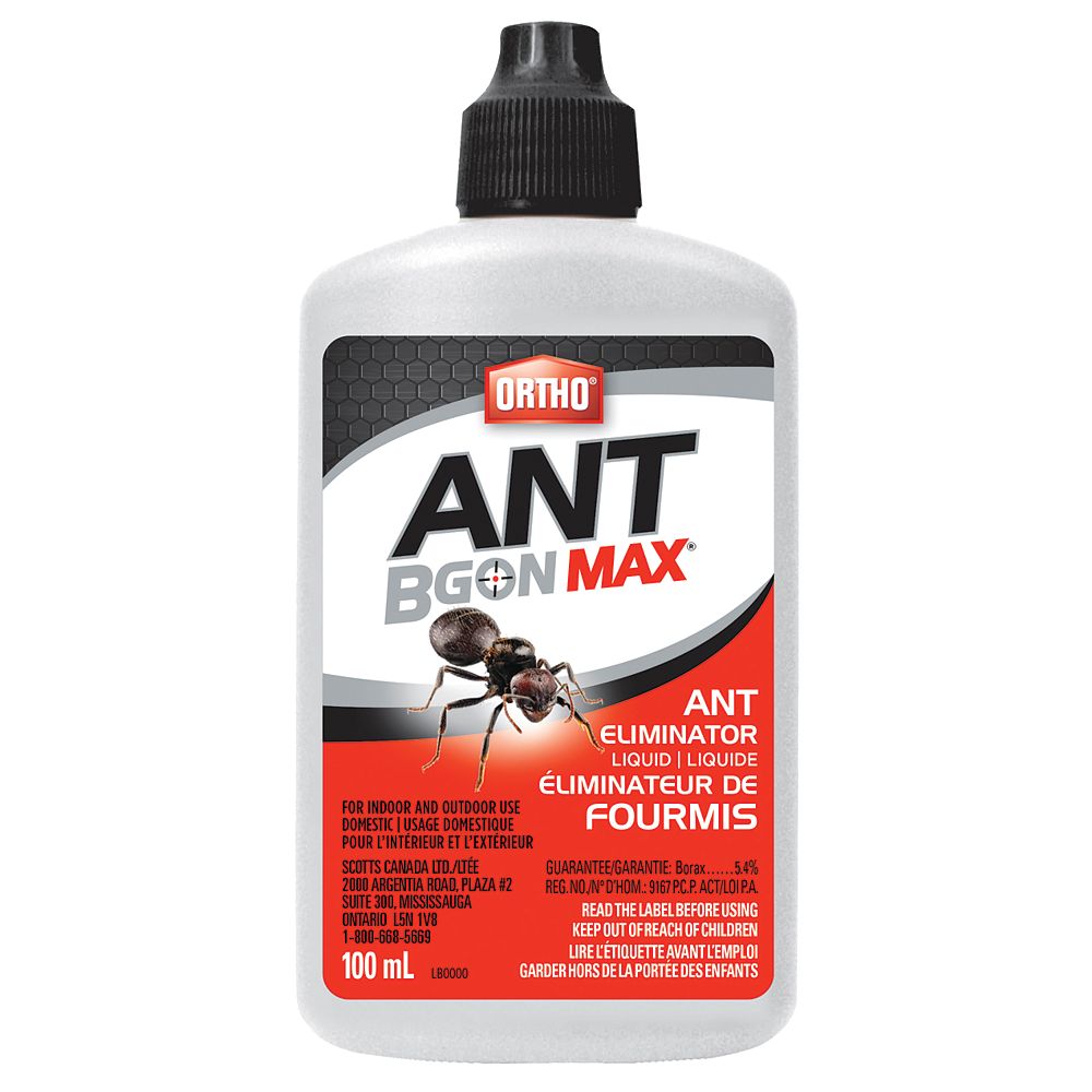 67 Awesome Exterior ant killer Trend in This Years