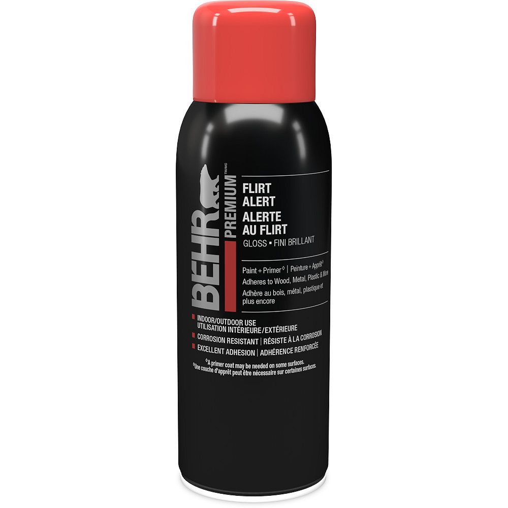 BEHR Interior/Exterior Aerosol Spray Paint and Primer BEHR Interior/Exterior Aerosol Spray Paint and Primer
