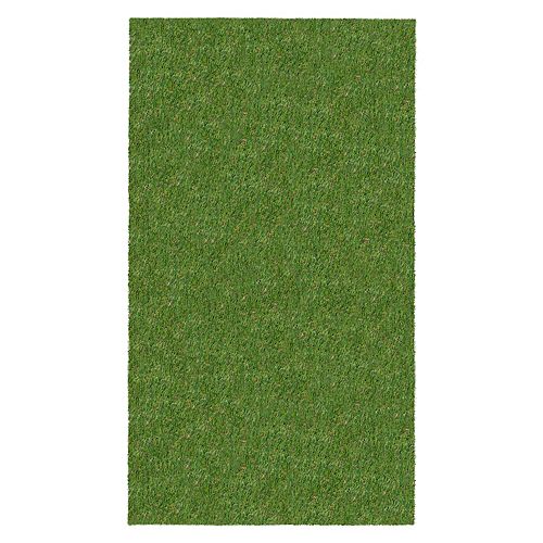 3 ft x5 ft Green Indoor / Outdoor Artificial Grass