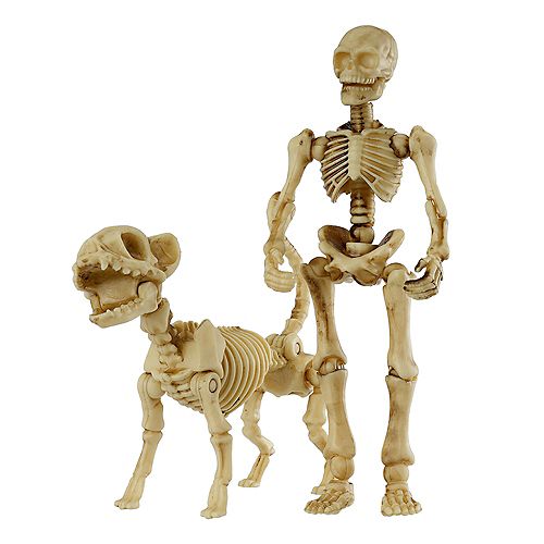 Assorted Posable Human/Cat Skeleton Halloween Decoration