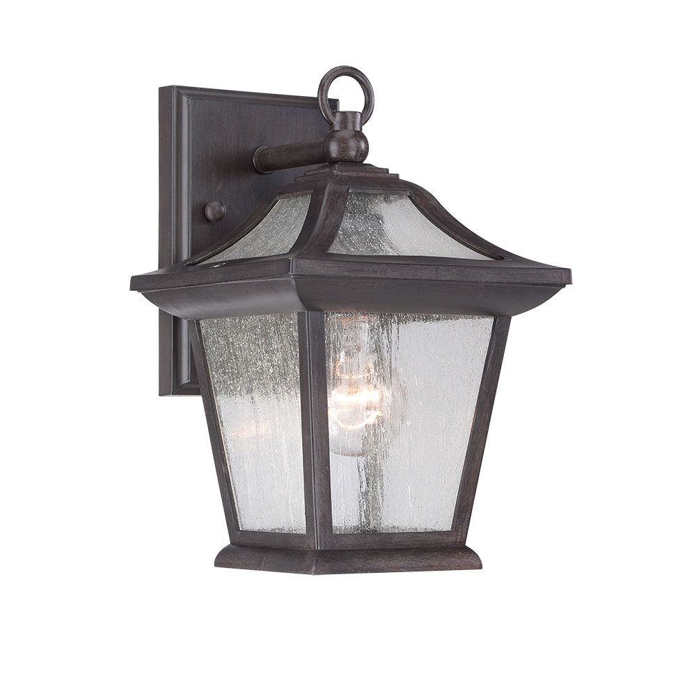 Acclaim Lighting Aiken 100W 1-Light Black Outdoor Wall Light | The Home ...