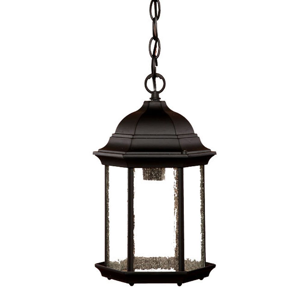 Acclaim Lighting Madison 100W 1-Light Black Outdoor Hanging Lantern ...