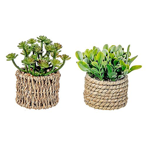 Artificial Plant In Rope Pot (Asstd) - Set of 2