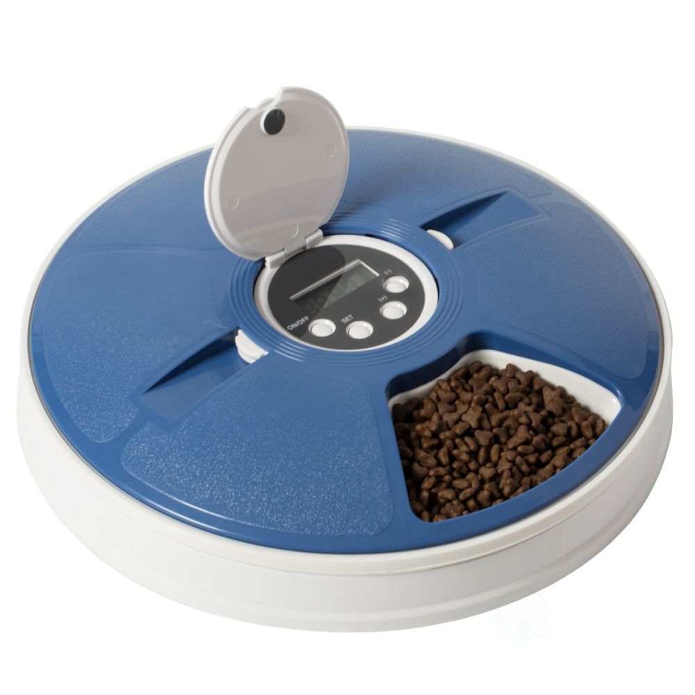 automatic cat feeder canada