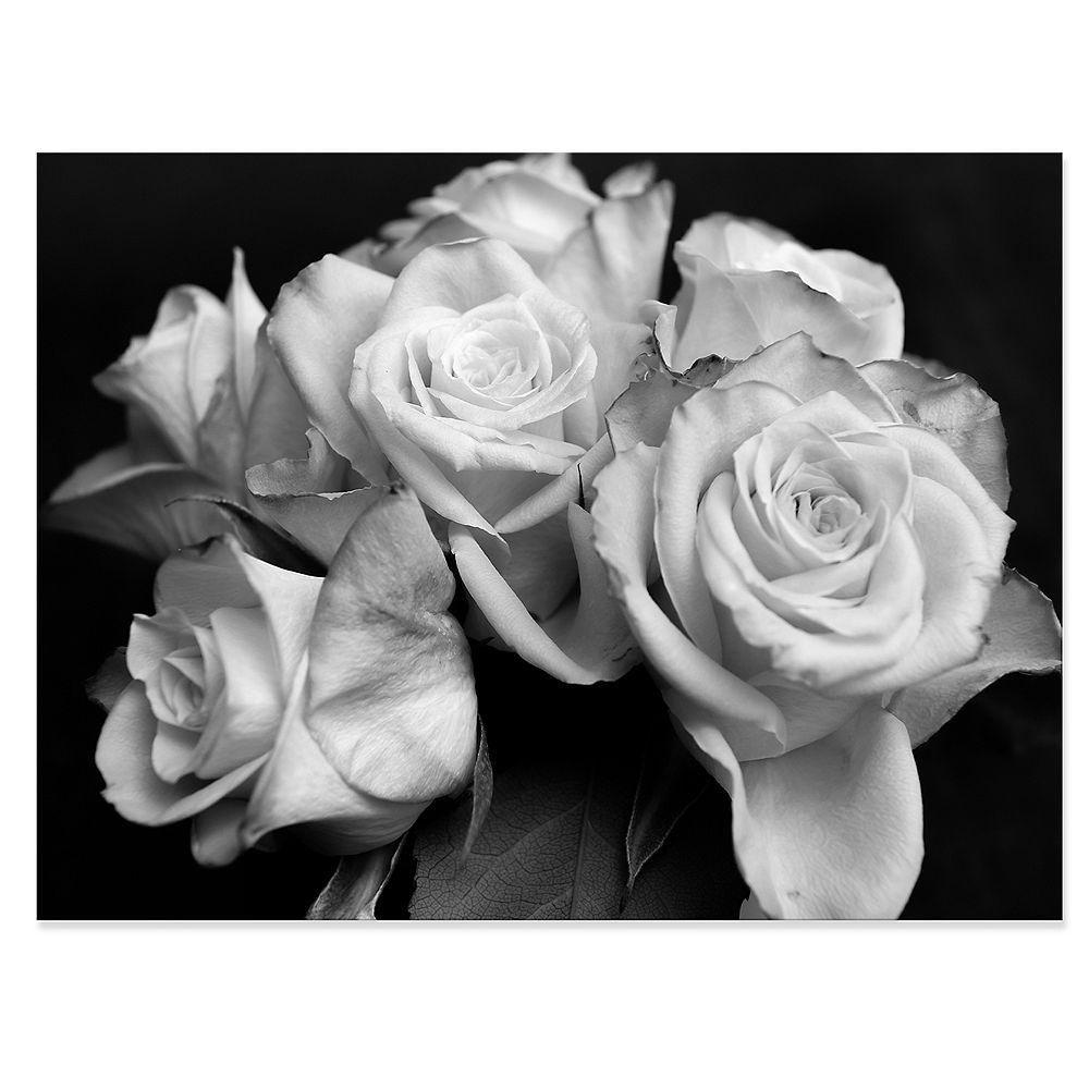 Designart Bunch of Roses Black and White - Floral Art Canvas Print