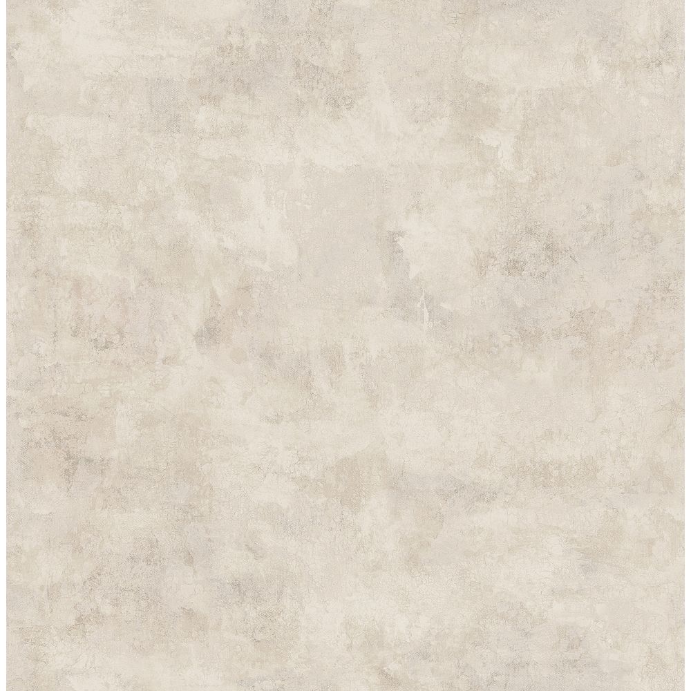 Zio and Sons Artisan Plaster Nude Taupe Texture Wallpaper | The Home ...